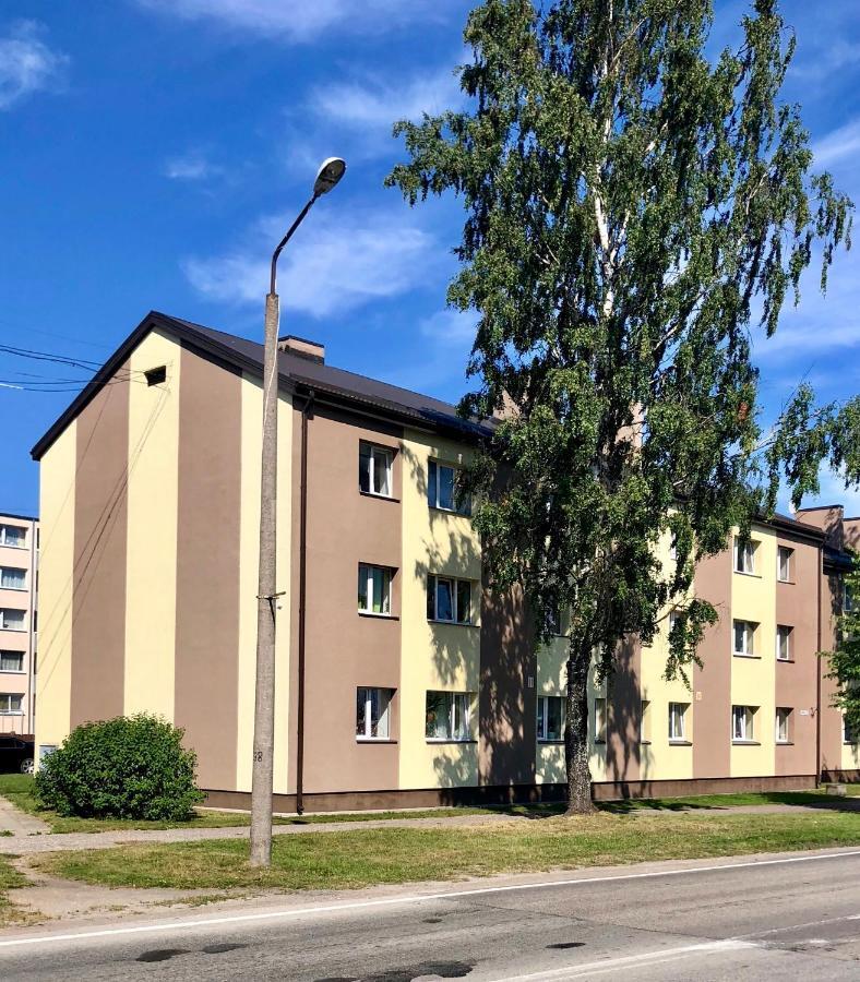 Majigs Dzivoklis Salacgrīva 外观 照片